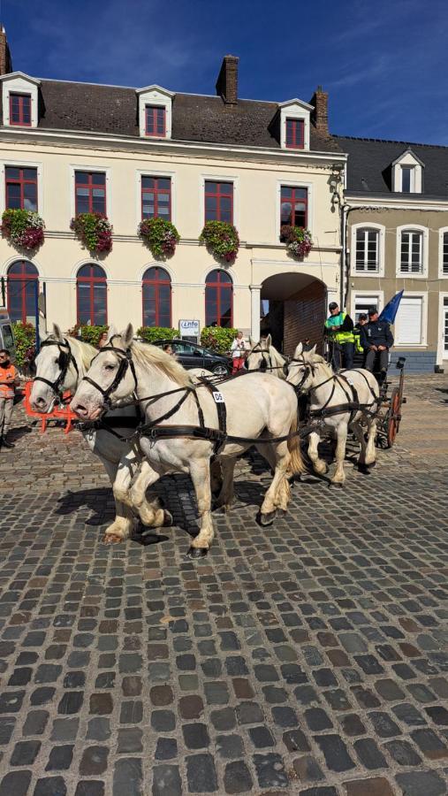 Gite La Grange 8Personnes Au Sein D'Un Elevage De Chevaux Brucquedal ภายนอก รูปภาพ